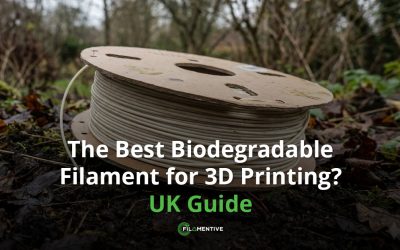 The Best Biodegradable Filament for 3D Printing? UK Guide